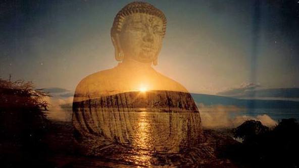 Release your Spiirit