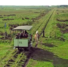 Chibo Retreats Chibo Wellbeing